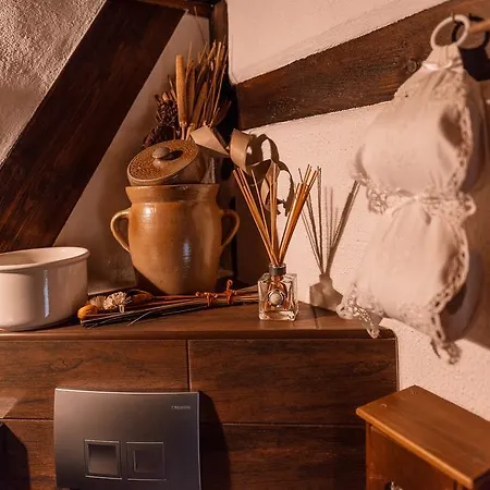 公寓 Altes Hinterhaeusel