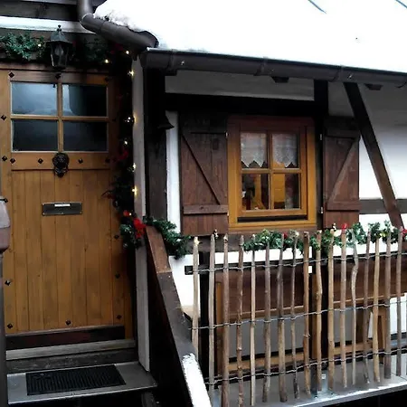 Altes Hinterhaeusel Apartment Freiberg