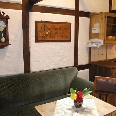 Altes Hinterhaeusel Apartment Freiberg