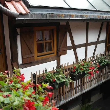 Apartment Altes Hinterhaeusel Freiberg
