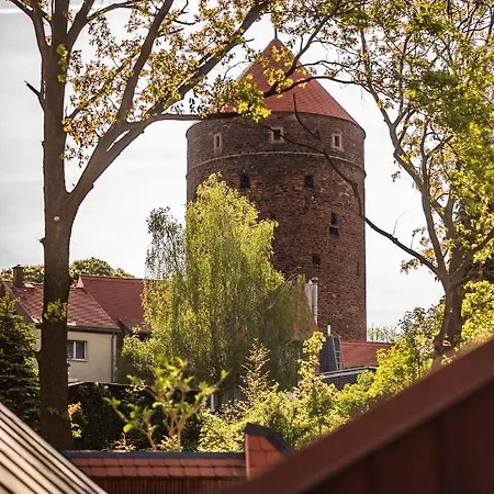 公寓 Altes Hinterhaeusel