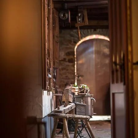 Apartamento Altes Hinterhaeusel Freiberg