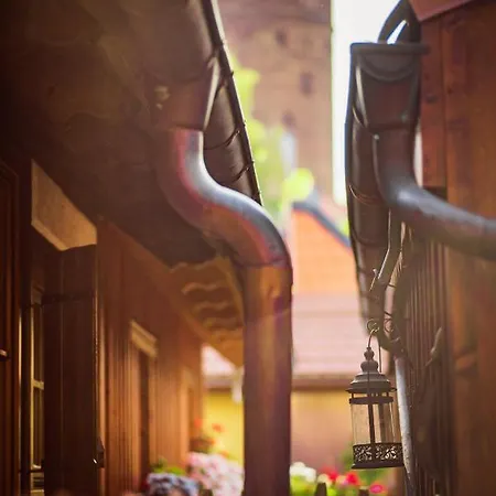 公寓 Altes Hinterhaeusel 弗赖贝格